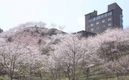 かみごおりさくら園