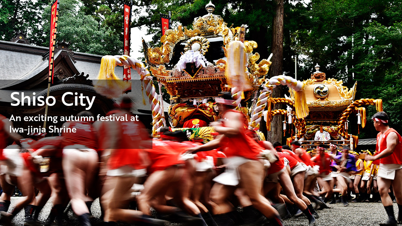 Shiso City:An exciting autumn festival at Iwa-jinja Shrine