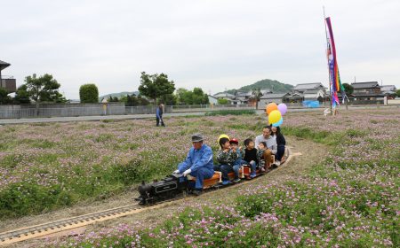 阿曽レンゲ畑1